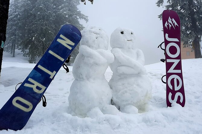 Ski & snowboard lessons on Poiana Brasov- Full Private day tour from Brasov - What I’d watch out for before booking