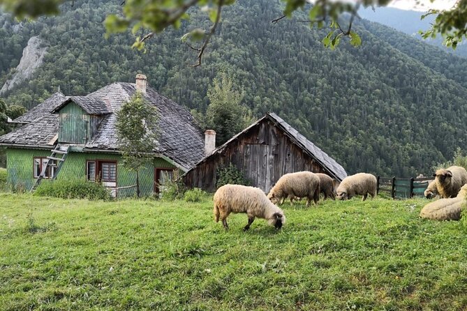 Slanic Salt Mines & Village Charms: Bucharest Day Escape - Who this Bucharest to Slanic trip fits best
