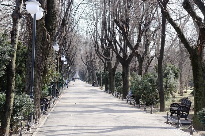 Slavery in Romania Myths and Truths About Gypsies - Stop 3: Palatul Stirbei, Valachia and 19th Century Power