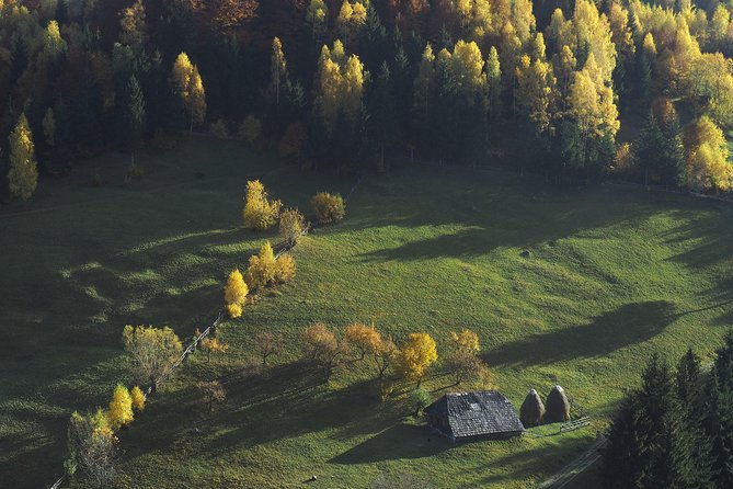 Small-Group Day Trip in Romanian Authentic Mountain Villages from Brasov - Magura village hike: the sheep-and-cheese side of Romania