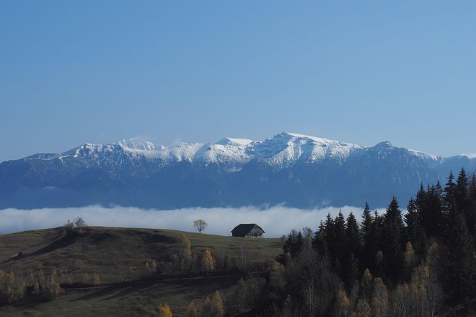 Small-Group Day Trip in Romanian Authentic Mountain Villages from Brasov - Pestera guesthouse lunch: farm food you can actually taste