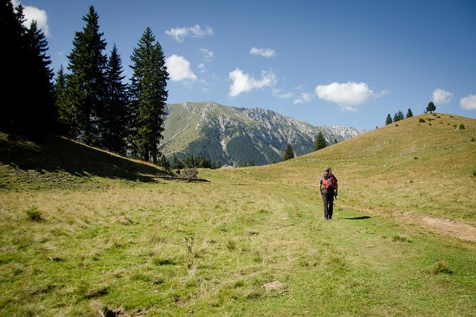 Small-Group Day Trip in Romanian Authentic Mountain Villages from Brasov - What to wear and how to pace yourself for this day trip