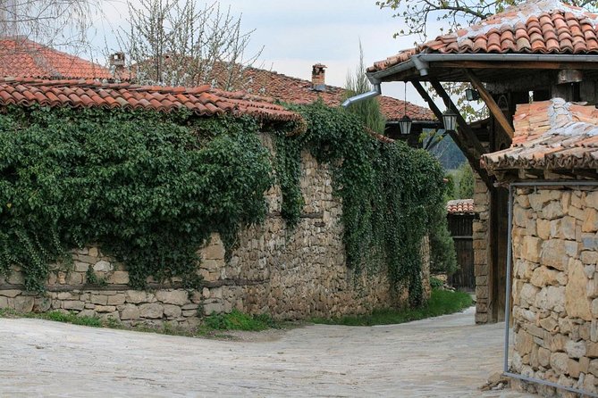Small-Group Day Trip to North Bulgaria - Air-Conditioned Minivan Comfort: Great When It Works
