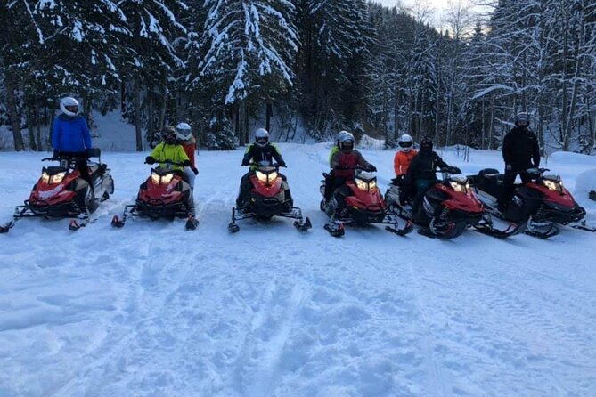 Snowmobiles, Sky Lift & Winter Sports - Private Tour - The Forest Ride: Speed, Safety, and Two-Person Machines