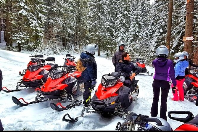 Snowmobiles, Sky Lift & Winter Sports - Private Tour - Why The Guide Really Matters On Days Like This