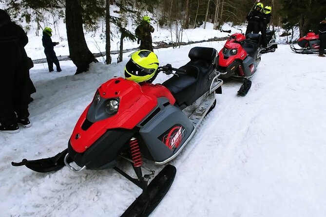 Snowmobiles, Sky Lift & Winter Sports - Private Tour - Who This Private Winter Adventure Suits Best