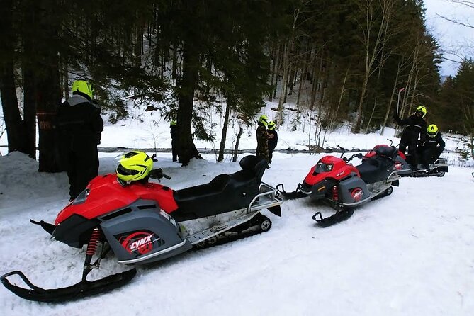 Snowmobiles, Sky Lift & Winter Sports - Private Tour - Price and Value: What You Pay For, What Costs Extra