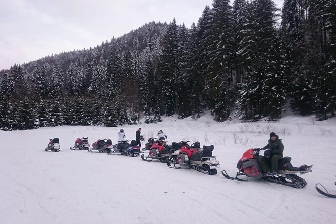 SnowMobiles Tour in Carpathian Mountains - Group size, comfort, and who this fits best