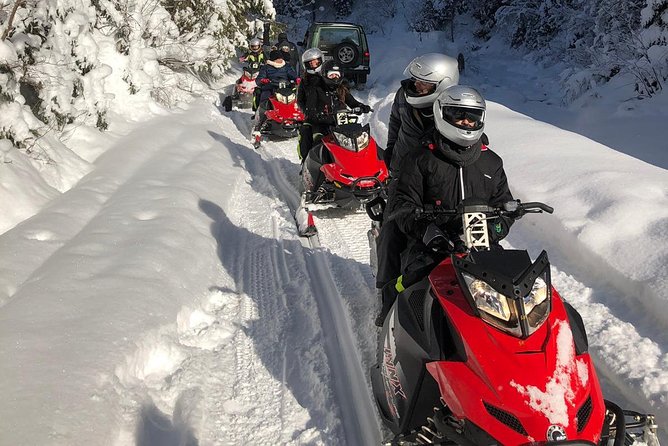 SnowMobiles Tour in Carpathian Mountains - Price and value: what you pay for, what you should budget