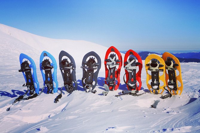 Snowshoeing Fun Tour from Cluj Napoca - Guide-led winter ecology: why the talk makes the walk better
