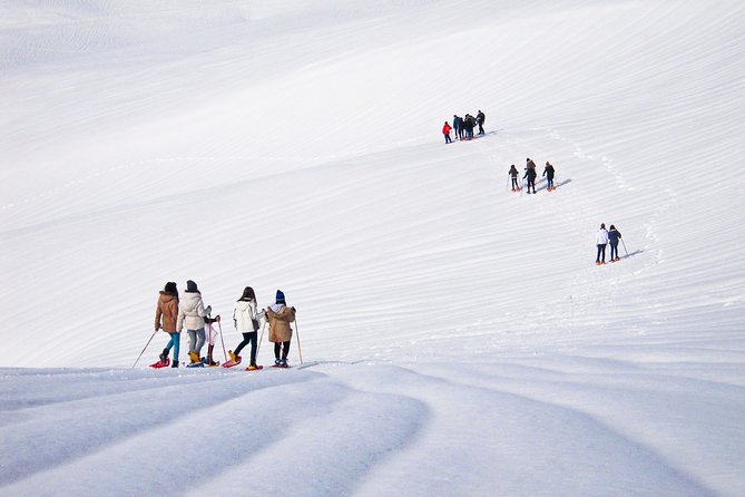 Snowshoeing Fun Tour from Cluj Napoca - Practical tips so you do not waste your snow day