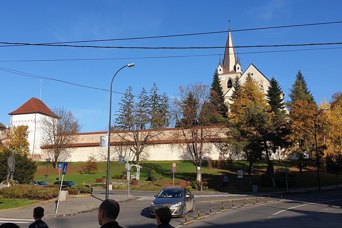 Targu Mures 3 hours walking tour - Getting your bearings fast: why this walk works