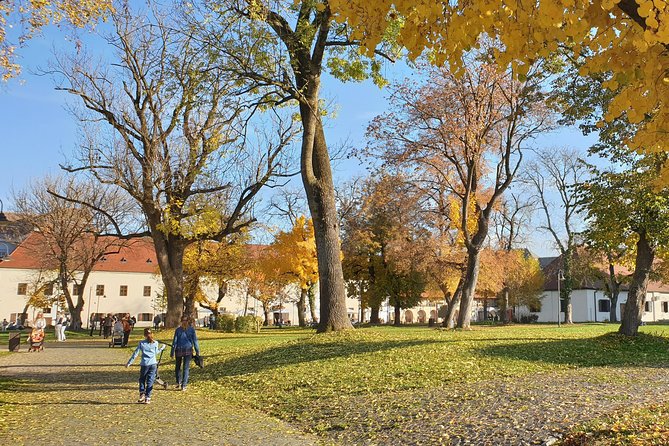 Targu Mures 3 hours walking tour - Stop 1: Targu Mures National Theatre, your anchor point