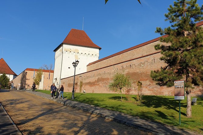 Targu Mures 3 hours walking tour - Where you start, how long it takes, and how the day feels
