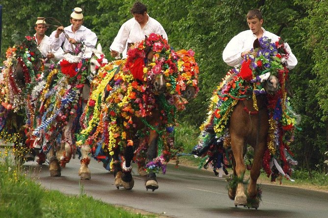 The Best of Maramures in One Day - Start at the Memorial of the Victims of Communism and of the Resistance