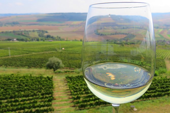 The wine route by bike - Key highlights at a glance