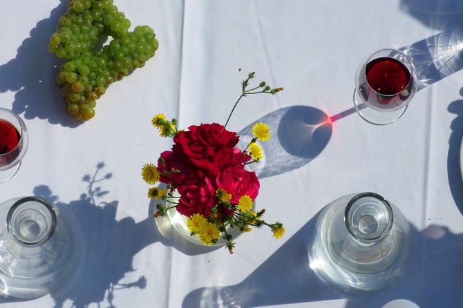 The wine route by bike - The Bike Wine Route Feel: Half-Day Time, Real Movement