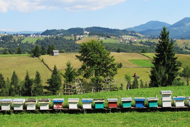 The wine route by bike - Stop 1: Bellu Manor Museum, family life before wine