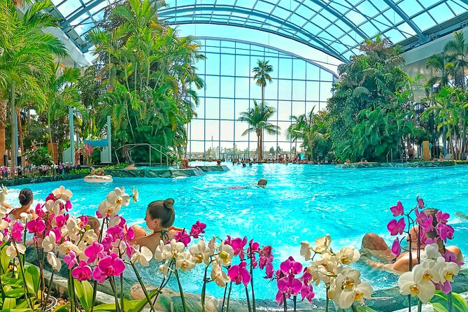 Therme Bucharest Tickets and Water Theme Park - One-day plan at Therme Bucharest: Galaxy, Palm, Elysium