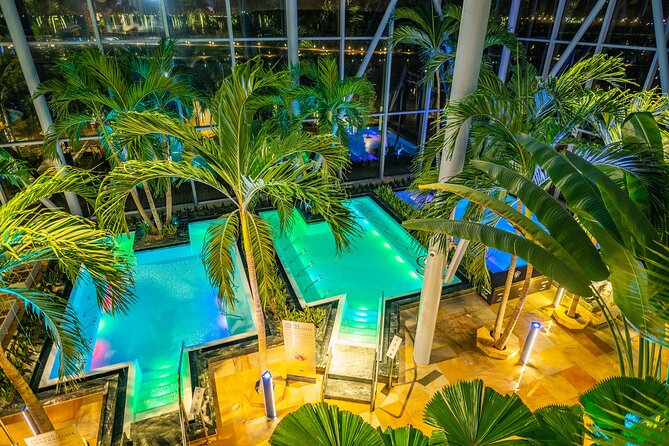 Therme Bucuresti: Entry Ticket and Transfer - Stop 2 at Therme: Galaxy and The Palm in one half-day plan