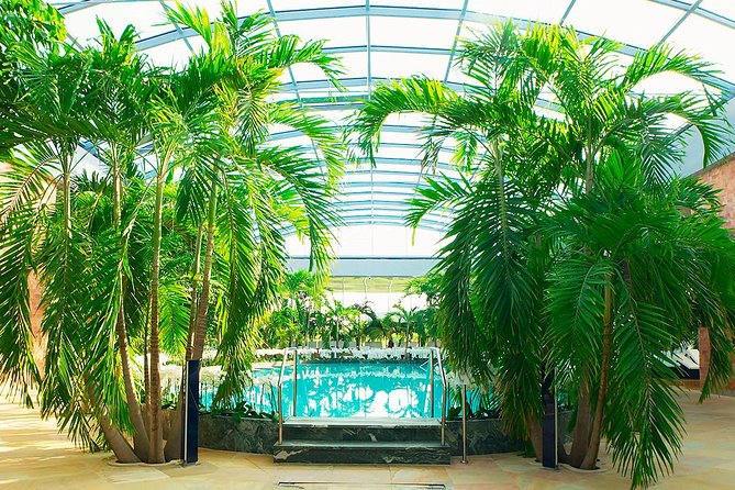Therme Spa Ultimate Experience | Transfer - Full Access All Areas - Price and logistics: what $59 really covers