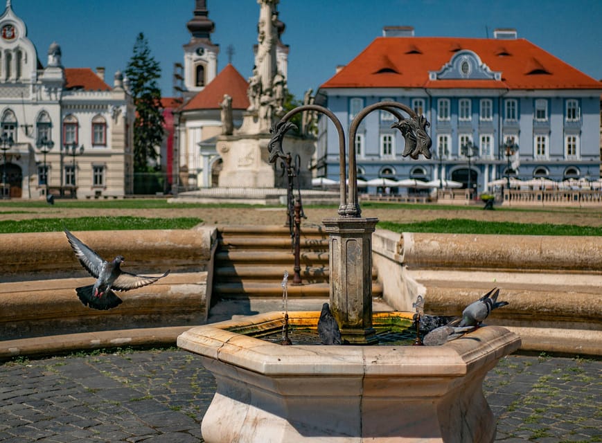 Timisoara: Private Walking Tour with a Local Guide - Practical Tips: Shoes, Weather, and What to Pack