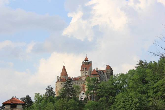 Tour of the 3 Castles: Bran, Rasnov and Peles in Spanish (native Spanish guide). - Morning pickup in Brasov, Bran, and Rasnov: less stress, more sightseeing