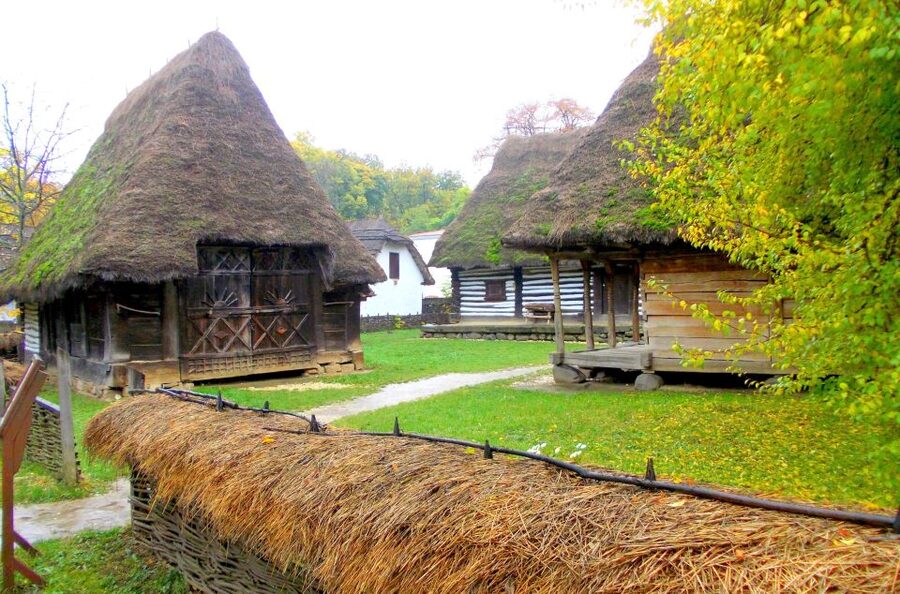 Traditions in Bucharest: Village Museum and Wine Tasting - Why this 4.5-hour mix of village life and wine works