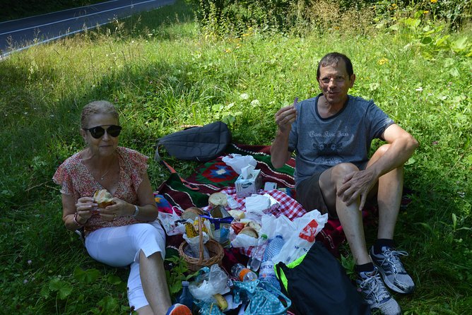 Transfagarasan, Vidraru and Poenari Fortress Tour from Sibiu - Vidraru Dam: a quick break with a big engineering story (10 minutes)