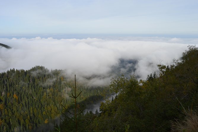 Transfagarasan, Vidraru and Poenari Fortress Tour from Sibiu - What to pack and how to plan your mountain timing