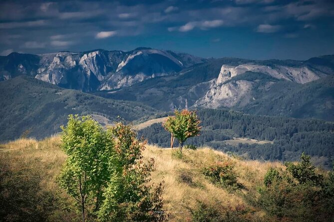 Transfer Bucharest -Brasov with Targoviste and Bran Castle visits - Bran Castle at a Glance: Gothic Stairs, Hilltop Views, and Dracula Context