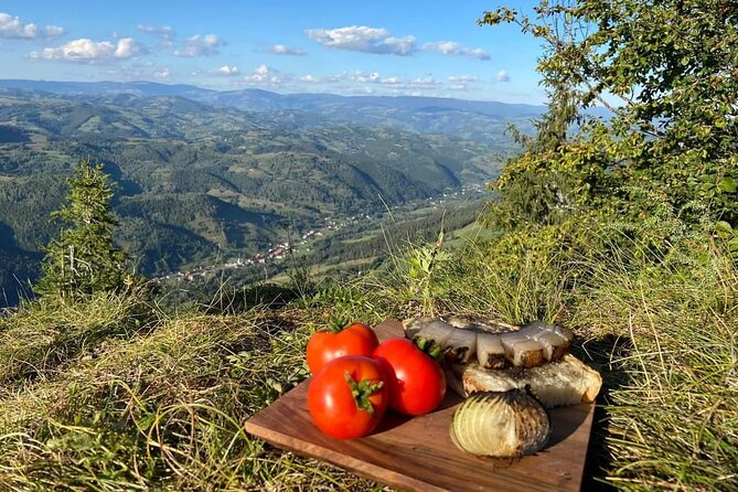 Transfer Bucharest -Brasov with Targoviste and Bran Castle visits - Price and Logistics: Is $190.81 Good Value?