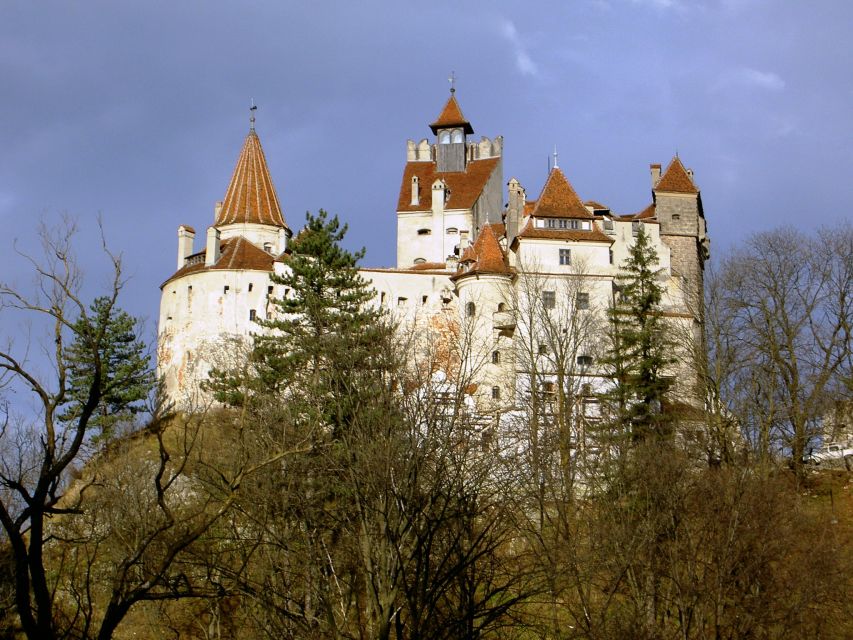 Transylvania: Cultural Full-Day Trip by Minivan - Carpathian Mountain drive: comfort, timing, and making the hours count