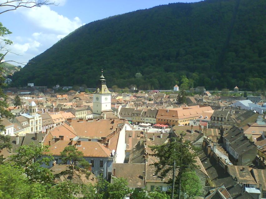 Transylvania: Cultural Full-Day Trip by Minivan - Who should book this, and who should choose a different plan