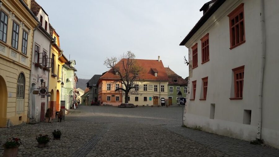 Transylvania: Dracula's Castle and Birthplace Tour - Vlad Dracul’s birthplace, the myth behind the name, and a schnapps stop