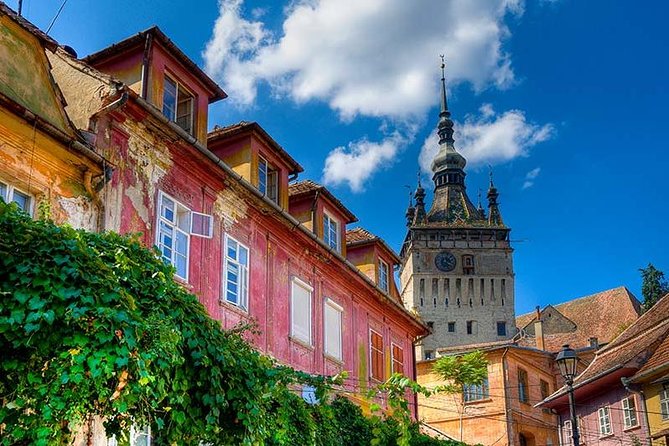 Transylvania Gems: Sighisoara, Medias, Biertan & Gypsy Encounter - Cluj-Napoca City Hall stop and the return ride with scenic stops