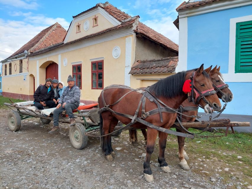 Transylvania Gems: Sighisoara, Medias, Biertan & Gypsy life - Medias and the Citadel of Light, plus a Roma copper-smithing workshop