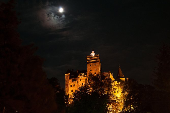 Transylvania with Dracula Castle, Bear Sanctuary and Brasov - A Full-Day Dracula Route From Bucharest
