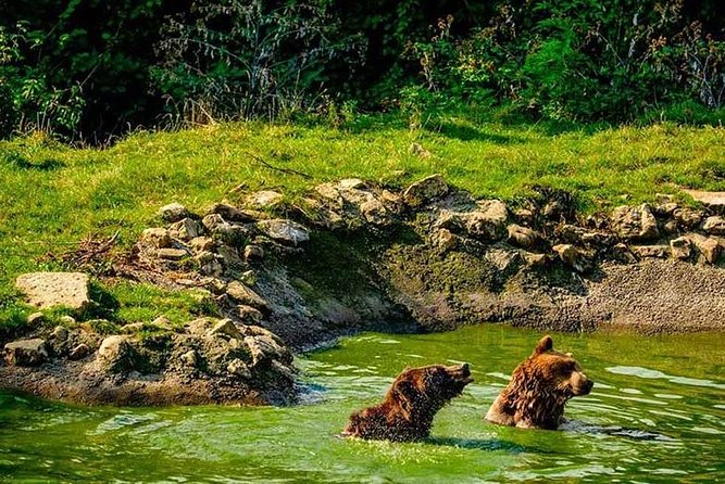 Transylvania with Dracula Castle, Bear Sanctuary and Brasov - Price and Value: Is $155 a Fair Deal?