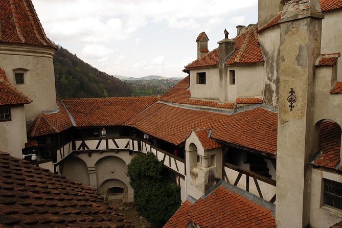 Transylvania with Dracula Castle, Bear Sanctuary and Brasov - Who This Tour Fits Best