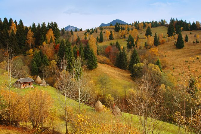 Two days tour to Bucovina & UNESCO Painted Monasteries - Bistrița: The Travel Break That Sets the Mood