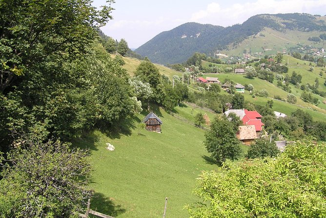Village life in Transylvanian Carpathian mountains - 8 days - Key highlights that make this 8 days worth it