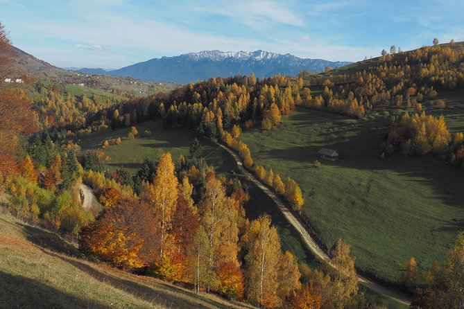 Village life in Transylvanian Carpathian mountains - 8 days - Day 2: Bran Castle and your first hike toward Magura