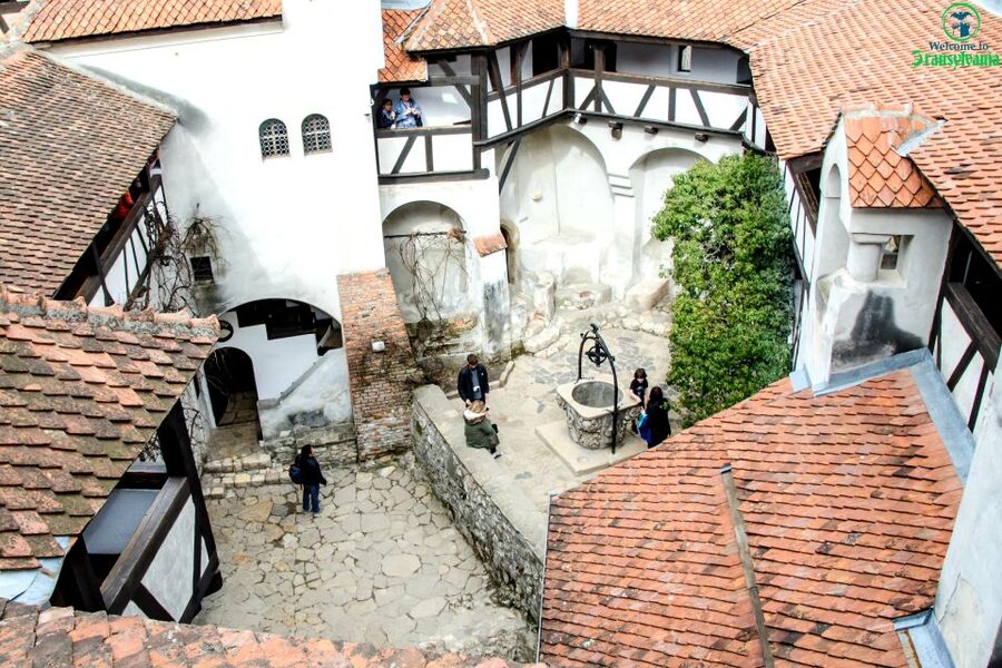Visit Bear Sanctuary and Bran Castle from Brasov - Key highlights that make this day trip worth it