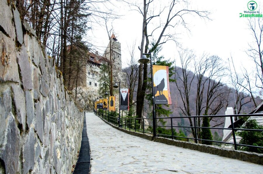 Visit Bear Sanctuary and Bran Castle from Brasov - Price and logistics: is $83 good value?