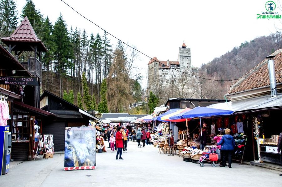 Visit Bear Sanctuary and Bran Castle from Brasov - LiBEARty Bear Sanctuary: seeing more than 100 bears up close