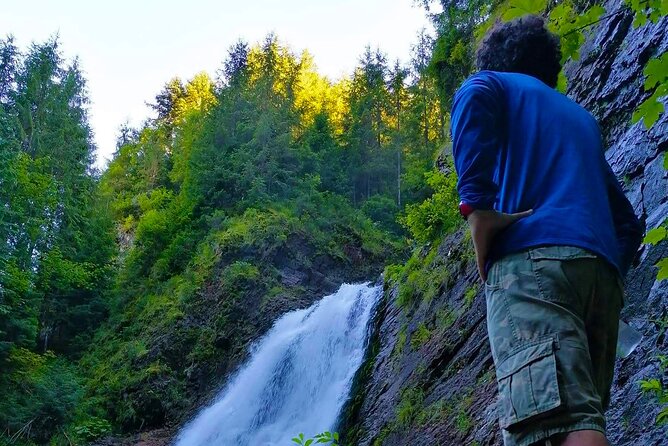 Vladeasa Peak and Bride's Waterfall Day Hike - Wildlife and Flora Spotting: What to Watch For on the Trail