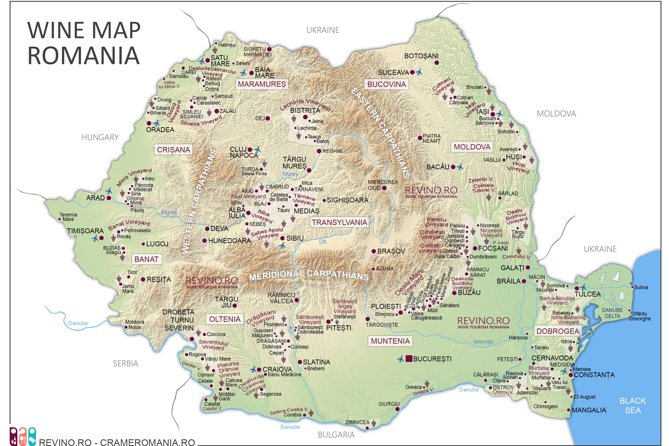 Wine Tasting in Bucharest long version - The Long Tasting Flow, From Sparkling to Dessert (Plus Tuica)