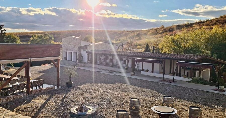 Winery touring & private wine tasting - one day private tour - Key highlights for your day trip